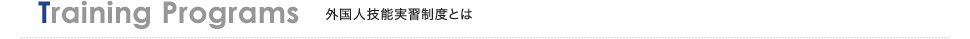 Training Programs 外国人技能実習制度とは