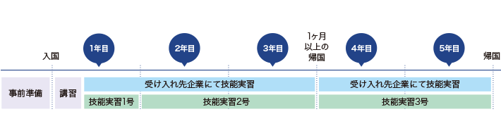 技能実習の流れ